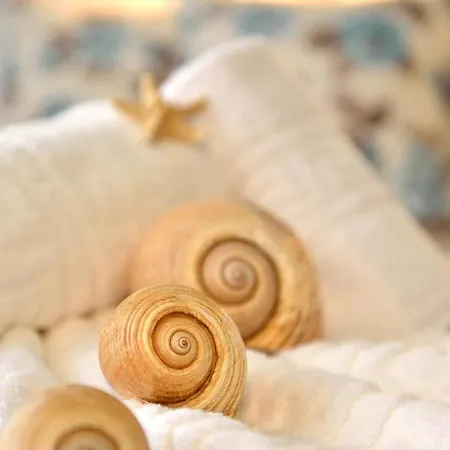 Stefanos Chrysi Ammoudia