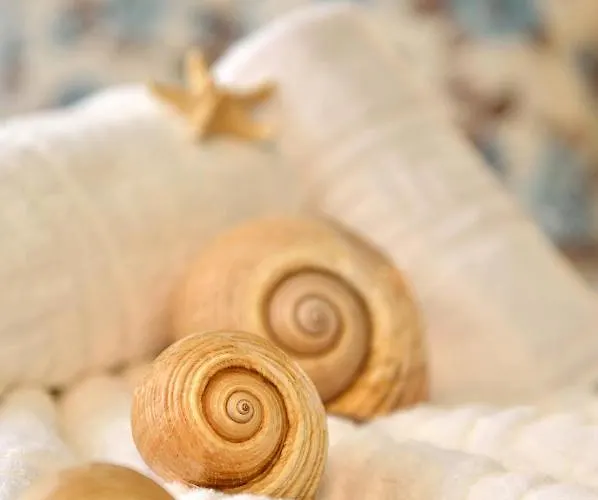 Stefanos Chrysi Ammoudia